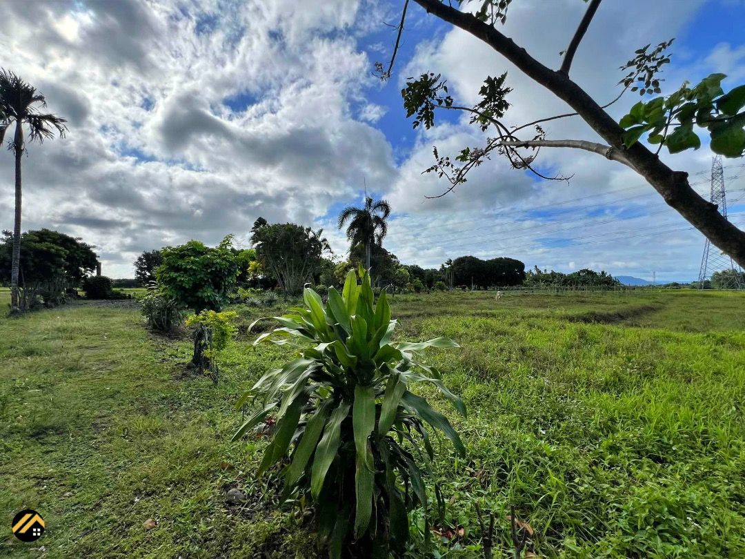 For Sale: Agricultural Lot in Pagsanjan, Calusiche, Laguna, featuring ...