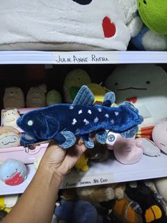 Real stuffed coelacanth S size COLORATA Plush New Japan