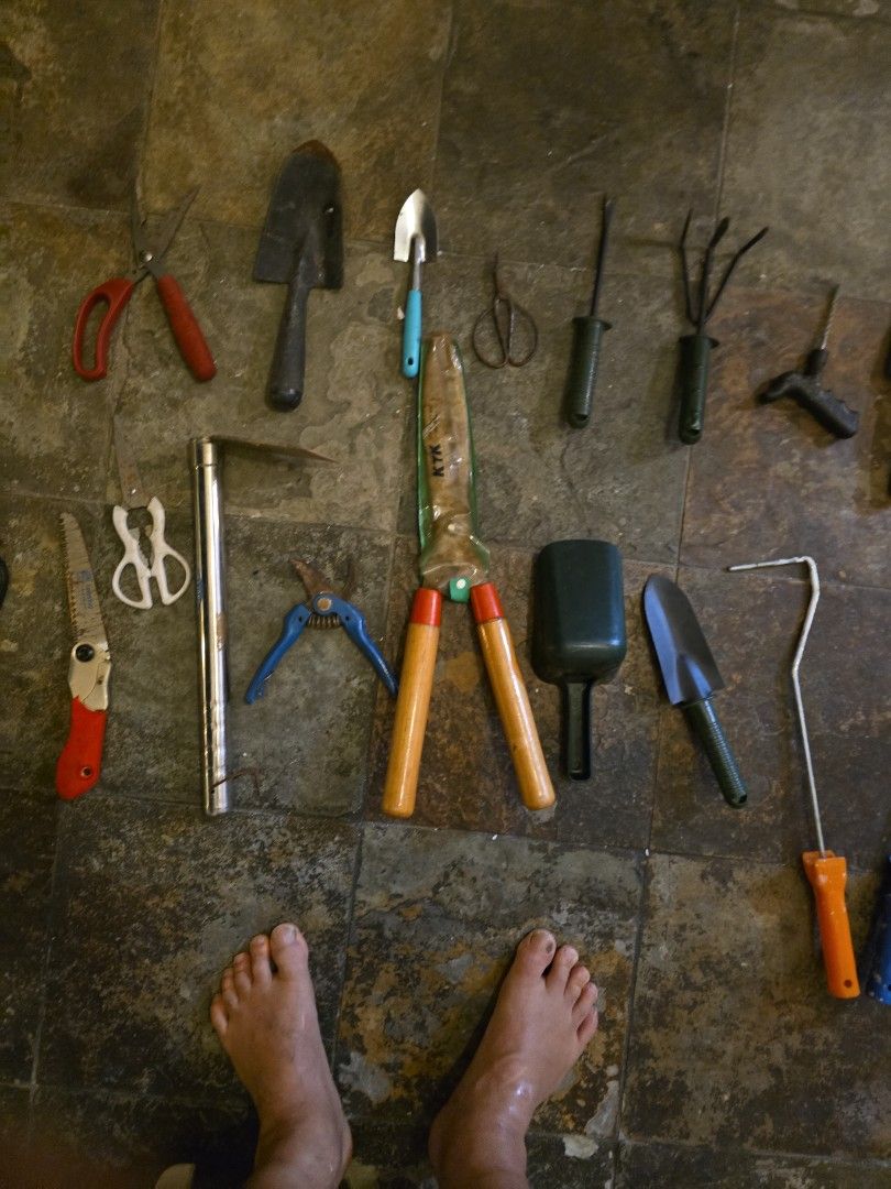 Tools (Category: Gardening Tools & Ornaments) located in Singapore. Submitted by drmiketeng (Listing ID 1358871574, Image 3). Description: Numerous gardening tools for sale. All for 50 dollars.