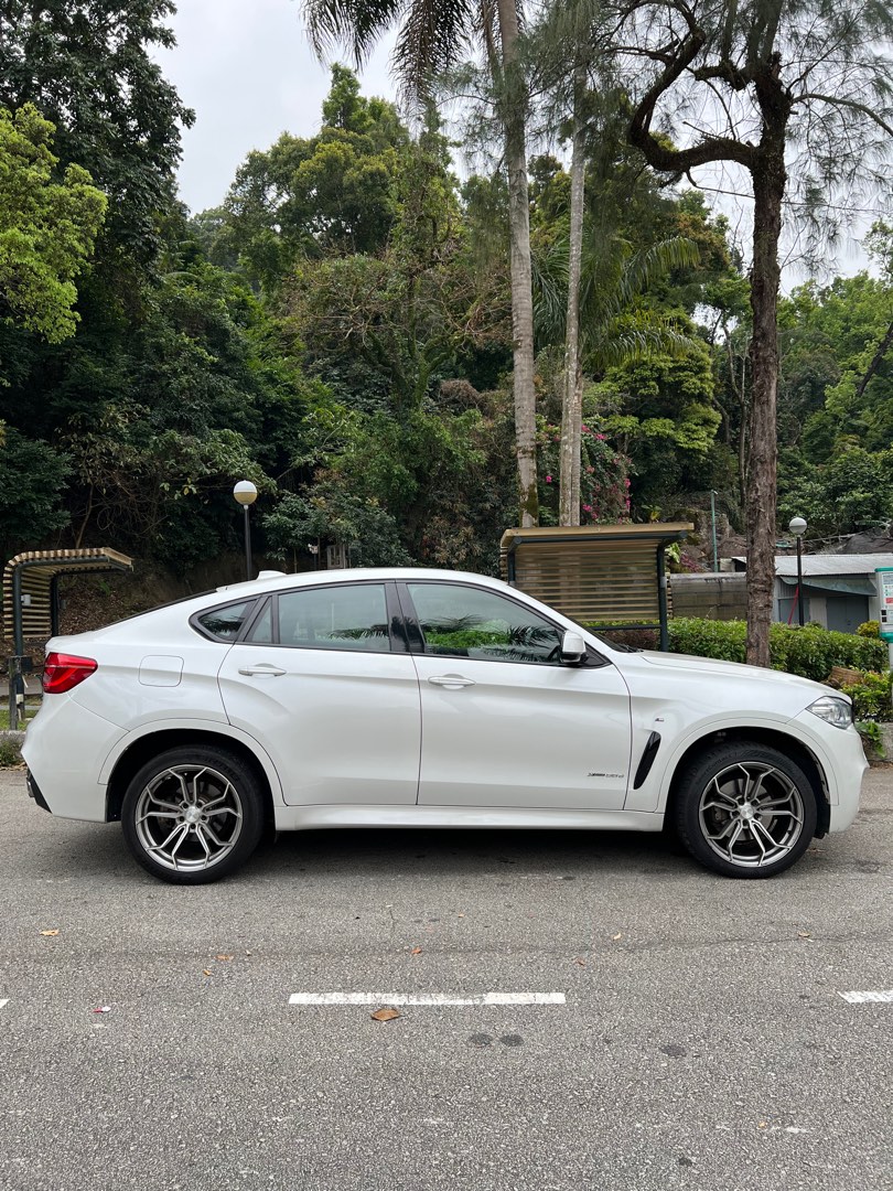 BMW X6 xDrive 30d (A)62863132610305112