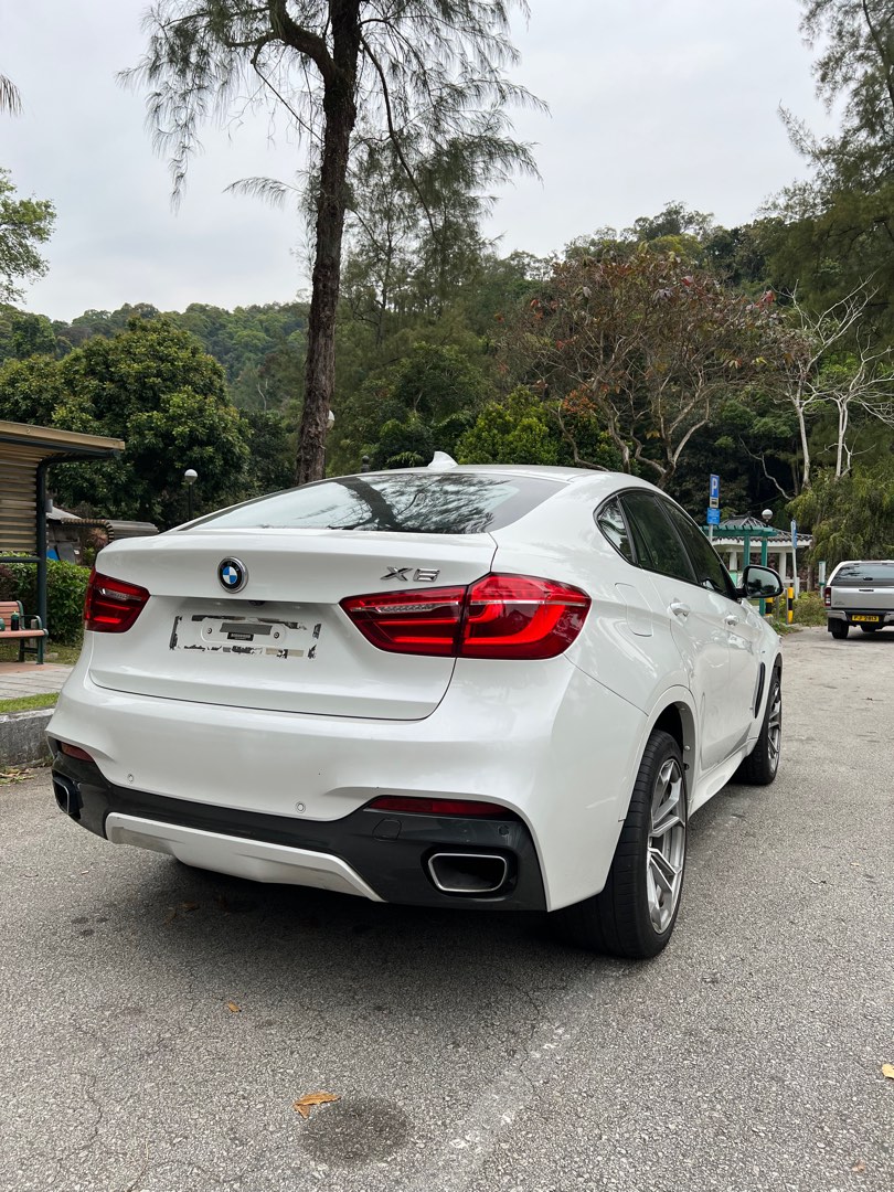 BMW X6 xDrive 30d (A)62863132610305114
