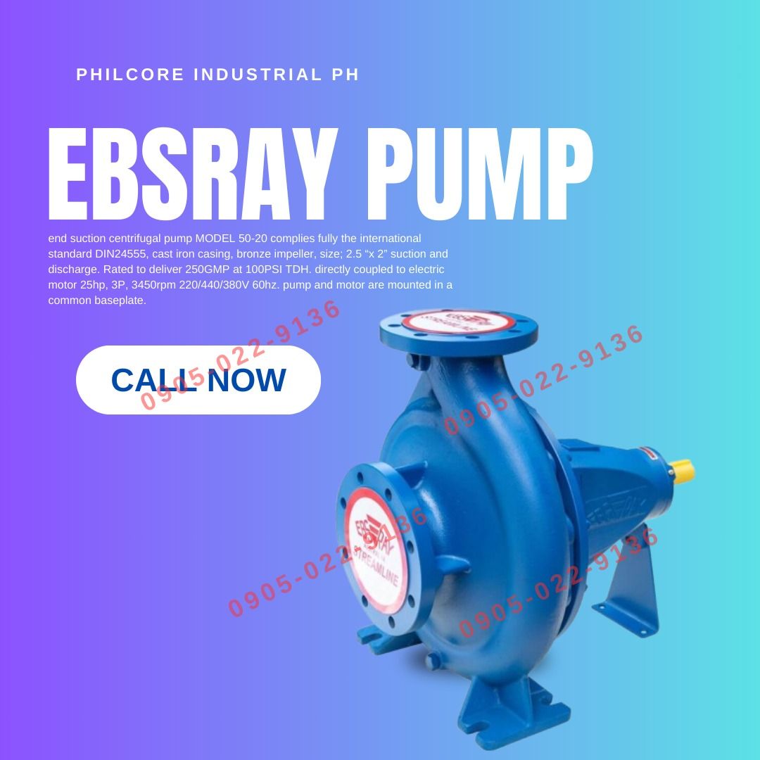 Ebsray Pump Model 50-20, Durable and Versatile: The Ebsray Model 50-20 ...