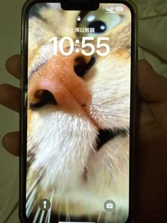 （分類：）位於 。 由 andy310 提交（商品編號 1359083570，圖片 1）。簡介： 。