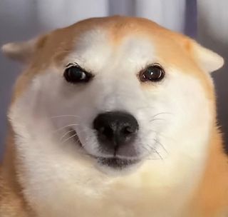 （分類：）位於 。 由 omgomg7778 提交（商品編號 1358354385，圖片 1）。簡介： 。