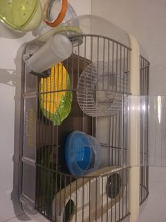 (Category: ) located in . Submitted by Turtles (Listing ID 1359046425, Image 1). Description: .