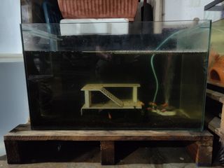 (Category: ) located in . Submitted by ron1314 (Listing ID 1359246807, Image 1). Description: .