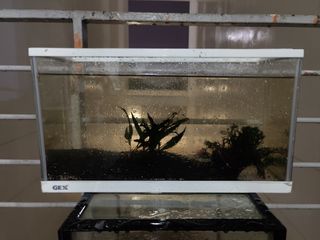 (Category: ) located in . Submitted by ron1314 (Listing ID 1359243005, Image 1). Description: .