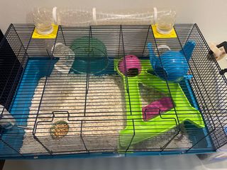 (Category: ) located in . Submitted by mjche (Listing ID 1359166440, Image 1). Description: .