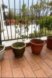 (Category: ) located in . Submitted by ankitadab (Listing ID 1358838680, Image 1). Description: .