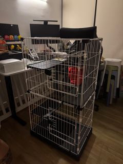(Category: ) located in . Submitted by ccchow91 (Listing ID 1359162307, Image 1). Description: .