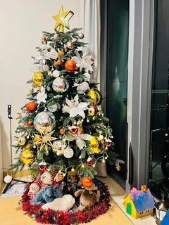 （分類：）位於 。 由 beaverstillhere 提交（商品編號 1355840473，圖片 1）。簡介： 。