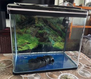 (Category: ) located in . Submitted by apekiz (Listing ID 1355924794, Image 1). Description: .