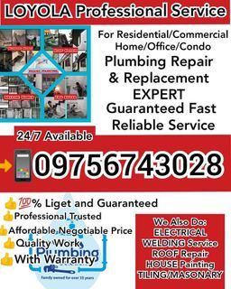 Affordable Professional Expert Roof Repair Roofing  House Painting Welding Welder Tile Sitter Tubero Plumbing Services.