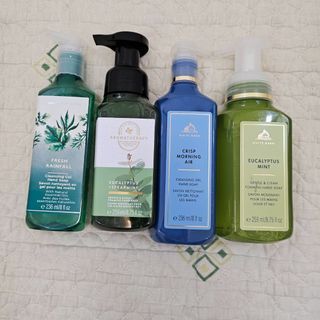 Bath and Body Works Hand Soap
