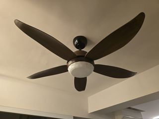 (Category: ) located in . Submitted by just.for.sale (Listing ID 1356028144, Image 1). Description: .