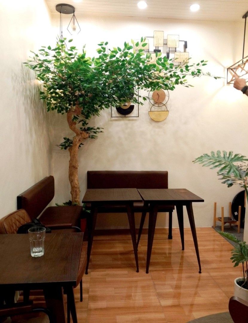 Ficus Tree 8ft. Artificial Plants Trees Flowers (Category: Artificial Plants & Flowers) located in Quezon City. Submitted by Artificials (Listing ID 1355922983, Image 1). Description: made to order sf/del fee c/o Client Buyer loc. Quirino Hiway, Quezon City.