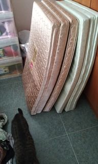 (Category: ) located in . Submitted by swiftforest.4ef8a9 (Listing ID 1355880758, Image 1). Description: .