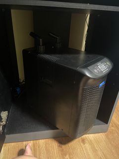 (Category: ) located in . Submitted by anthony.acl7813 (Listing ID 1355896555, Image 1). Description: .
