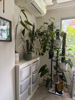 (Category: ) located in . Submitted by charese (Listing ID 1355870026, Image 1). Description: .