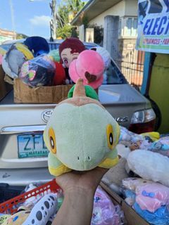 Pokemon Turtwig ( CUT TAG )