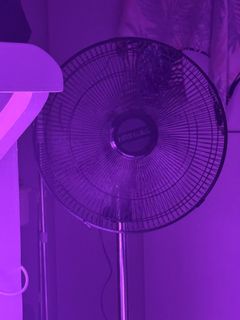 (Category: ) located in . Submitted by cloverliff (Listing ID 1356039294, Image 1). Description: .