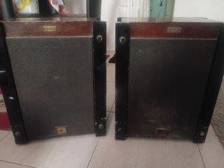 Vintage Akai Speaker