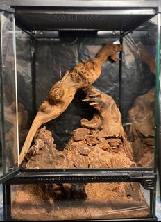 （分類：）位於 。 由 fz102 提交（商品編號 1359462527，圖片 1）。簡介： 。