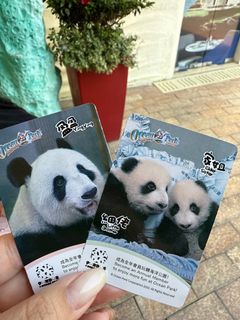 （分類：）位於 。 由 cocoskin 提交（商品編號 1359533364，圖片 1）。簡介： 。