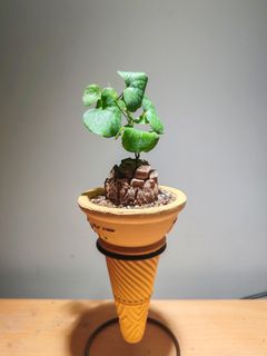 （分類：）位於 。 由 fredpowwow 提交（商品編號 1359580257，圖片 1）。簡介： 。
