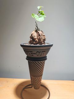 （分類：）位於 。 由 fredpowwow 提交（商品編號 1359579773，圖片 1）。簡介： 。