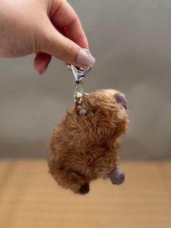 （分類：）位於 。 由 siusiuyu 提交（商品編號 1359561761，圖片 1）。簡介： 。
