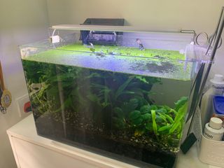 (Category: ) located in . Submitted by keisha711 (Listing ID 1359570053, Image 1). Description: .