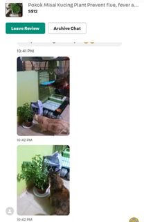 (Category: ) located in . Submitted by sayooneo222 (Listing ID 1359564641, Image 1). Description: .