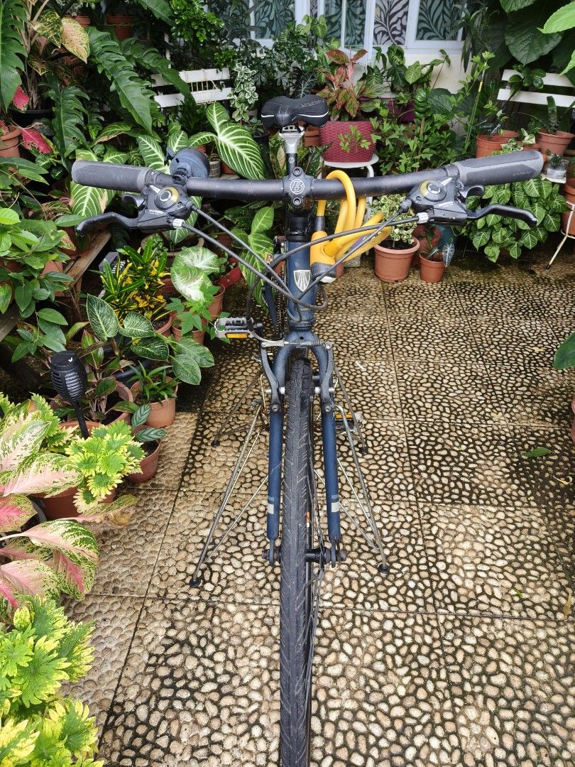 TREK Wingra, Sports Equipment, Bicycles & Parts, Bicycles on Carousell