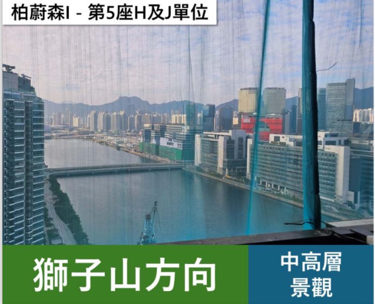 🌊🌳柏蔚森🌳🌊全啟德最平維港煙花景 兩房單位6,500,000入場 筍到爆！64110881659138112