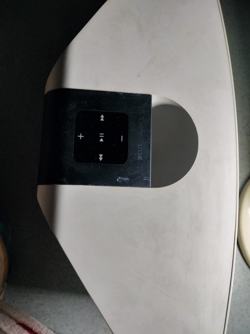 Bluesound speaker PULSE 263205310375809112