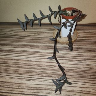 (Category: ) located in . Submitted by reublim (Listing ID 1359945046, Image 1). Description: .