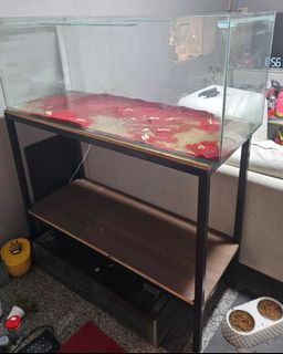 (Category: ) located in . Submitted by jowynce (Listing ID 1359976781, Image 1). Description: .