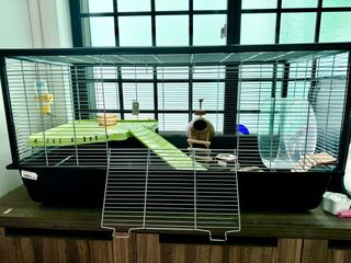 (Category: ) located in . Submitted by geraldineshyan (Listing ID 1359989883, Image 1). Description: .