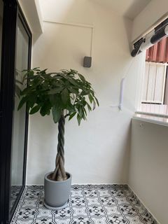 (Category: ) located in . Submitted by weijian852 (Listing ID 1359947148, Image 1). Description: .