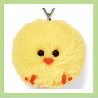 Spring Chick Pocketbac Holder