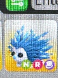 (Category: ) located in . Submitted by matdan619 (Listing ID 1360160422, Image 1). Description: .