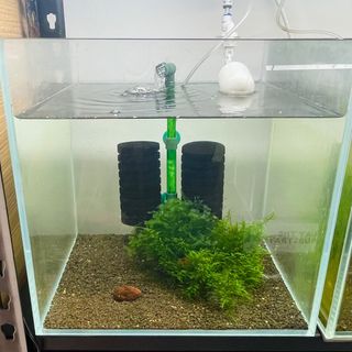 (Category: ) located in . Submitted by urbanshrimps (Listing ID 1360178994, Image 1). Description: .