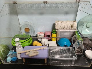 (Category: ) located in . Submitted by JWLim (Listing ID 1360179028, Image 1). Description: .