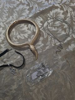 Snake-Themed Jewelry Set – 3 Pieces (Choker & Necklaces, Goth, Alt, 2000s, mori kei, reputation,taylor swift, y2k, acubi, black, silver,brand new)