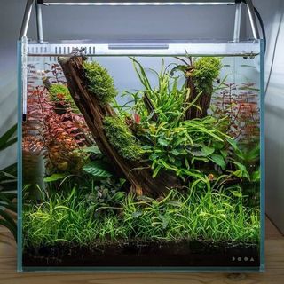 (Category: ) located in . Submitted by ascape (Listing ID 1360234200, Image 1). Description: .