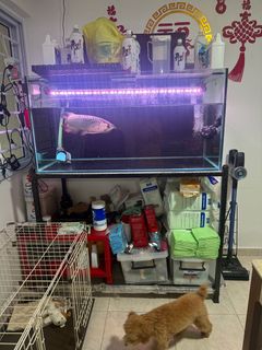 (Category: ) located in . Submitted by miniworld2025 (Listing ID 1360243741, Image 1). Description: .