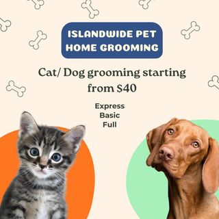(Category: ) located in . Submitted by triciaatan (Listing ID 1360294848, Image 1). Description: .