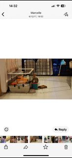 (Category: ) located in . Submitted by belpzz (Listing ID 1360270975, Image 1). Description: .