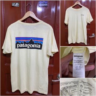 patagonia organic tee